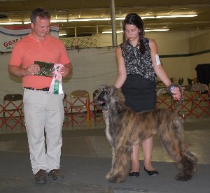 RAHC Best Puppy in Match2012a.jpg - 22.16 K